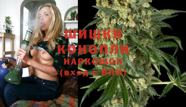 индика Баксан