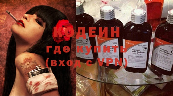 индика Баксан