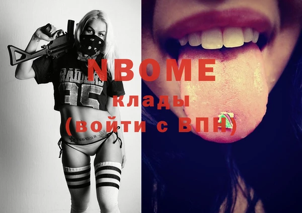 индика Баксан