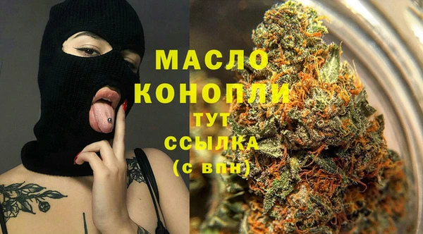 индика Баксан